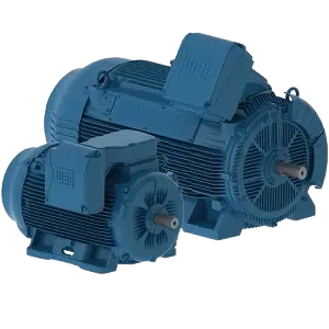 Nema and IEC Motors