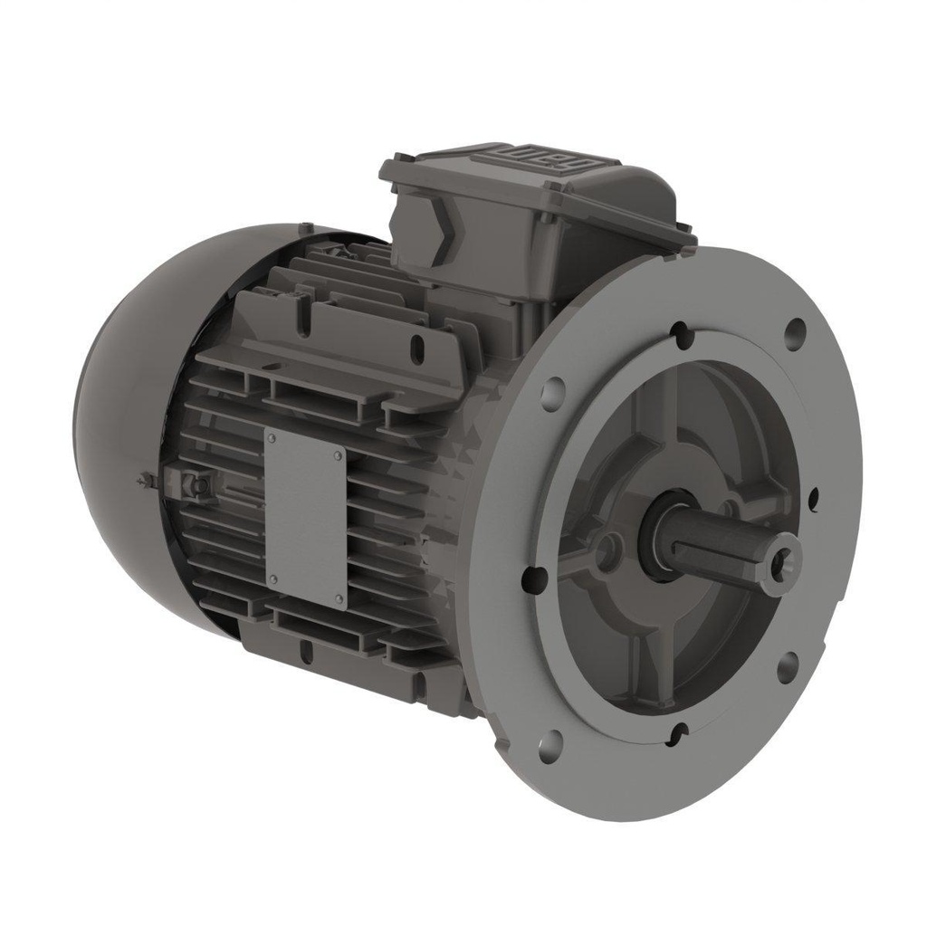 WEG 0.25 HP 1800/1500 RPM 230/460/190/380V TEFC 63 Frame