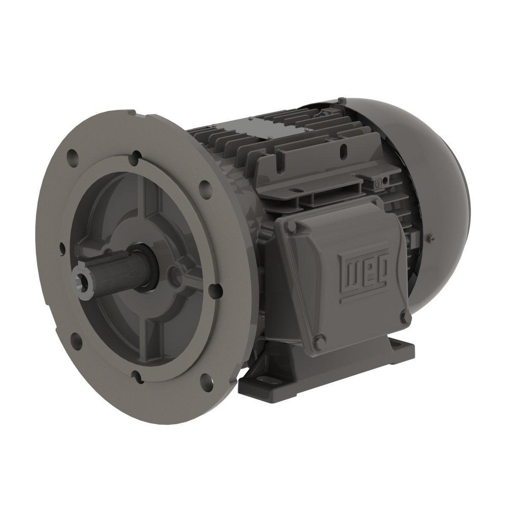 WEG 0.75 HP 1800/1500 RPM 230/460/190/380V TEFC 80 Frame