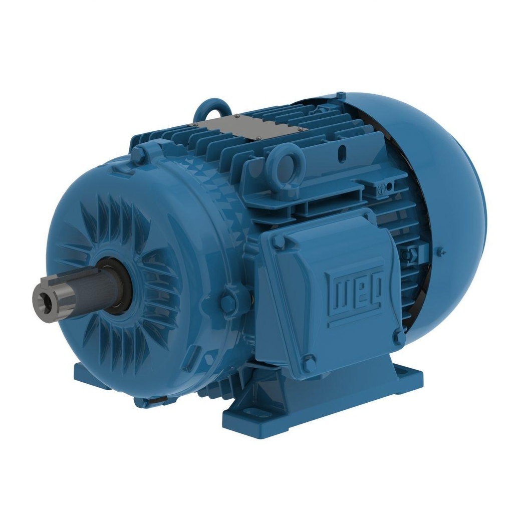 WEG 10 HP 1800 RPM 575 V TEFC 132M Frame