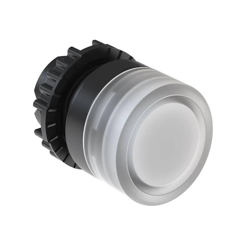 WEG 22mm Illuminated White Flush Pushbutton