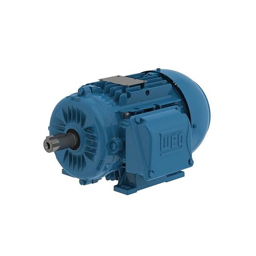 [00318ET3EAL100L-W22] WEG 4 HP 1800/1500 RPM 230/460/190/380V TEFC 100L Frame