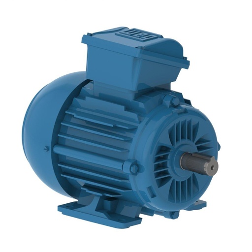 [E0.1836EP3WAX63F3-W2] WEG 0.25 HP 3000/3600 RPM 220-240/380-415/440-460V TEFC 63 Frame