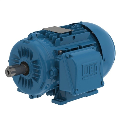 [00136ET3EAL80-W22] WEG 1.5 HP 3600/3000 RPM 230/460/190/380V TEFC 80 Frame