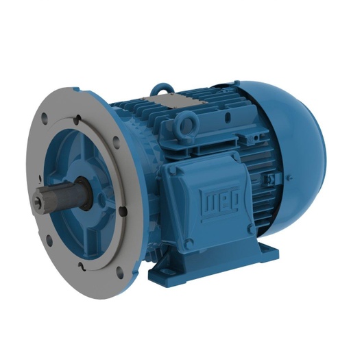 [00718ET3EAL132M-W22] WEG 10 HP 1800/1500 RPM 230/460/190/380V TEFC 132M Frame