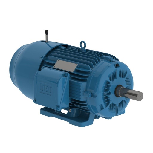 [01012ET3EBM256T-W22] WEG 10 HP 1200 RPM 230/460V TEFC 254/6T Frame