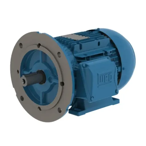 [.7509ET3EAL100L-W22] WEG 1 HP 900/750 RPM 230/460/190/380V TEFC 100L Frame