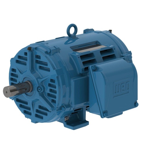 [02018OT3E256TF2-W40] WEG 20 HP 1800 RPM 230/460/380 V ODP 254/6T Frame