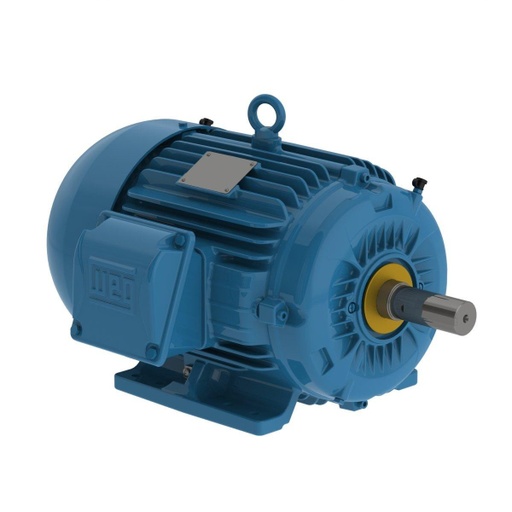 [00209ET3E213T-W22] WEG 2 HP 900 RPM 230/460V TEFC 213/5T Frame